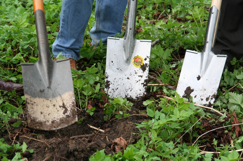 pepiniere-ST PIERRE-min_work-lawn-flower-tool-green-backyard-1103633-pxhere.com